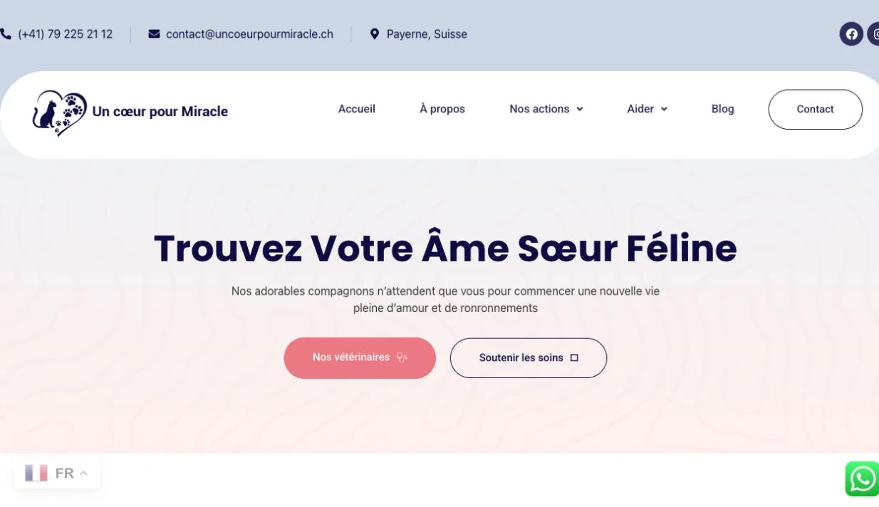 Un Cœur pour Miracle · A closer look at the content and services